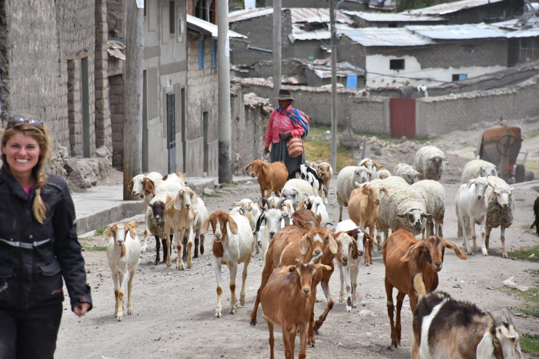 15419270_10157794874940265_109617689_o